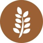 The Source Bulk Foods Toowong